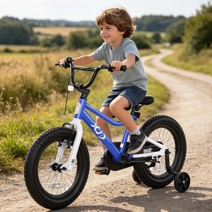 XJD 12 14 16 inch Kids Bike BMX Style Bicycle with Training Wheels Coaster Brake for 3-10 Years Old Toddlers Boys Girls