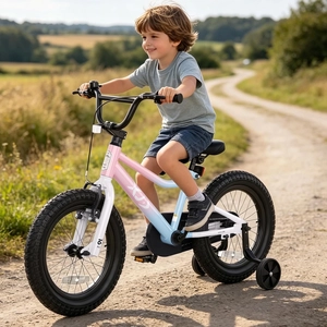 XJD 12 14 16 inch Kids Bike BMX Style Bicycle with Training Wheels Coaster Brake for 3-10 Years Old Toddlers Boys Girls