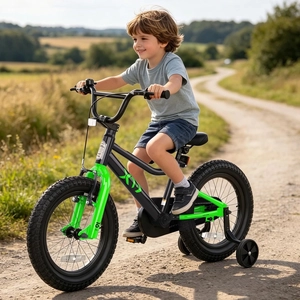 XJD 12 14 16 inch Kids Bike BMX Style Bicycle with Training Wheels Coaster Brake for 3-10 Years Old Toddlers Boys Girls
