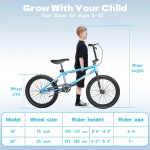 XJD Freestyle BMX Bike, 20 inch Kids Bicycles for Boys Girls Ages 8-12 Years Old and Beginner Level Rider,Durable Steel Frame,Blue(No Pegs)