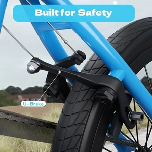 XJD Freestyle BMX Bike, 20 inch Kids Bicycles for Boys Girls Ages 8-12 Years Old and Beginner Level Rider,Durable Steel Frame,Blue(No Pegs)