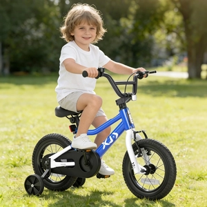 XJD 12 14 16 inch Kids Bike BMX Style Bicycle with Training Wheels Coaster Brake for 3-10 Years Old Toddlers Boys Girls