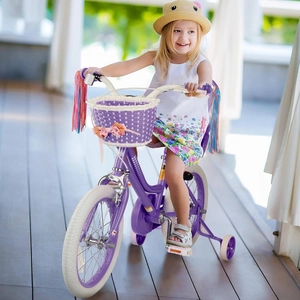 XJD Girls Bike Purple